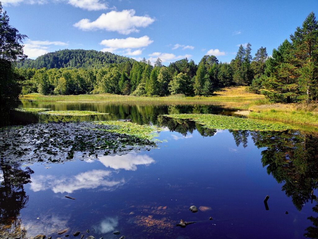 Cairngorms National Park